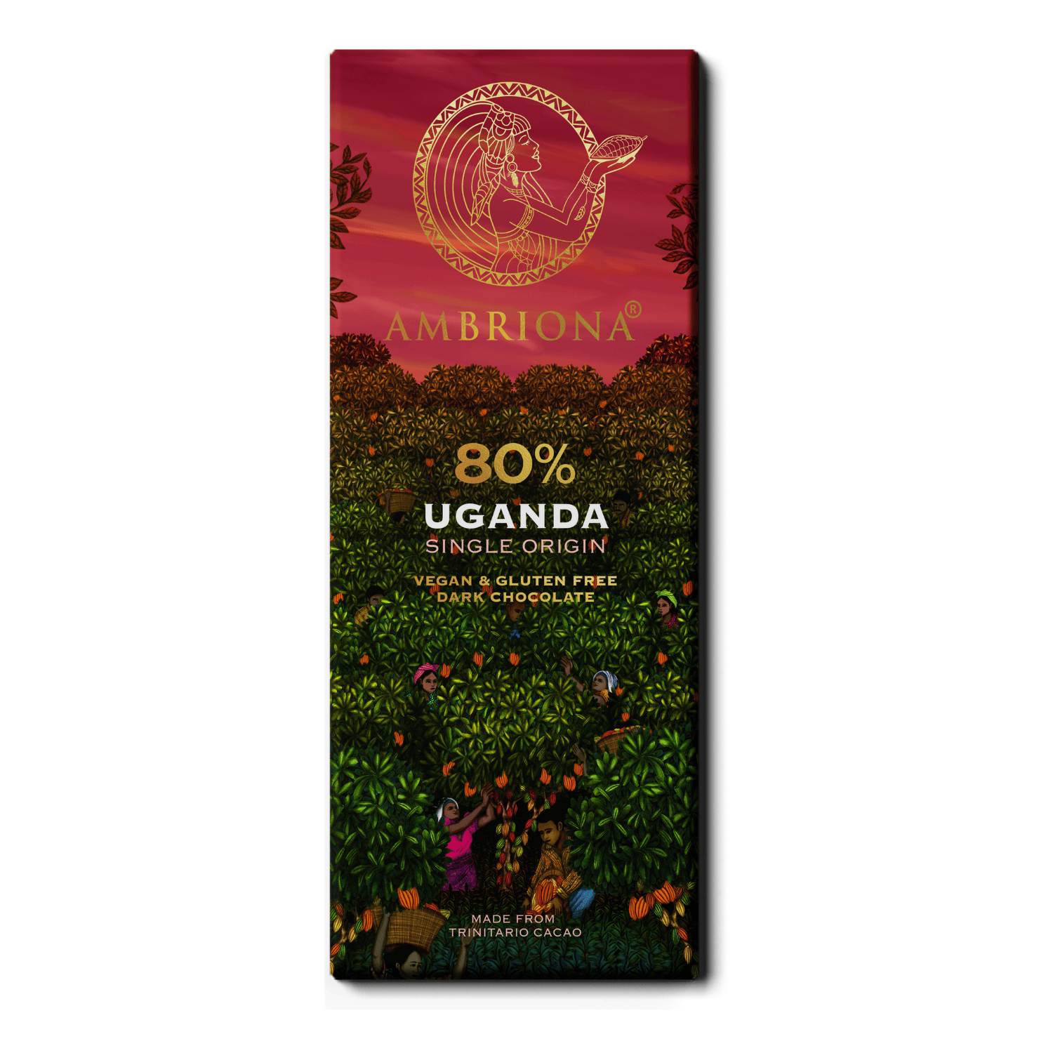 Ambriona  80 Single Origin Intense Dark Chocolate from Uganda  Vegan & Gluten Free  50 g